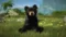 Kinectimals: Новые герои медведи! на xbox