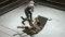 WWE SmackDown vs Raw 2009 на xbox