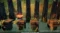 Crash Bandicoot N. Sane Trilogy на xbox