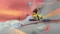Tony Hawk SHRED: Skateboard Bundle Игра + Беспроводной контроллер в виде доски для скейтборда на xbox