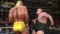 WWE Legends of Wrestlemania на xbox