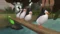 The Penguins of Madagascar: Dr Blowhole Returns Again! Пингвины Мадагаскара на xbox