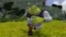 Shrek The Third Шрэк 3 на xbox