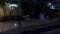 Мегамозг: Решающая схватка Megamind Ultimate Showdown на xbox