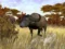 Cabela’s African Safari на xbox