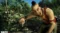 Far Cry: The Wild Expedition на xbox
