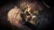 Hellblade: Senua’s Sacrifice на xbox